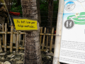 Crystal cove philippines