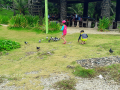 Crystal cove philippines