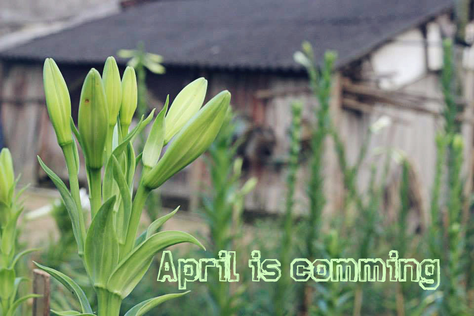 April is comming 2015